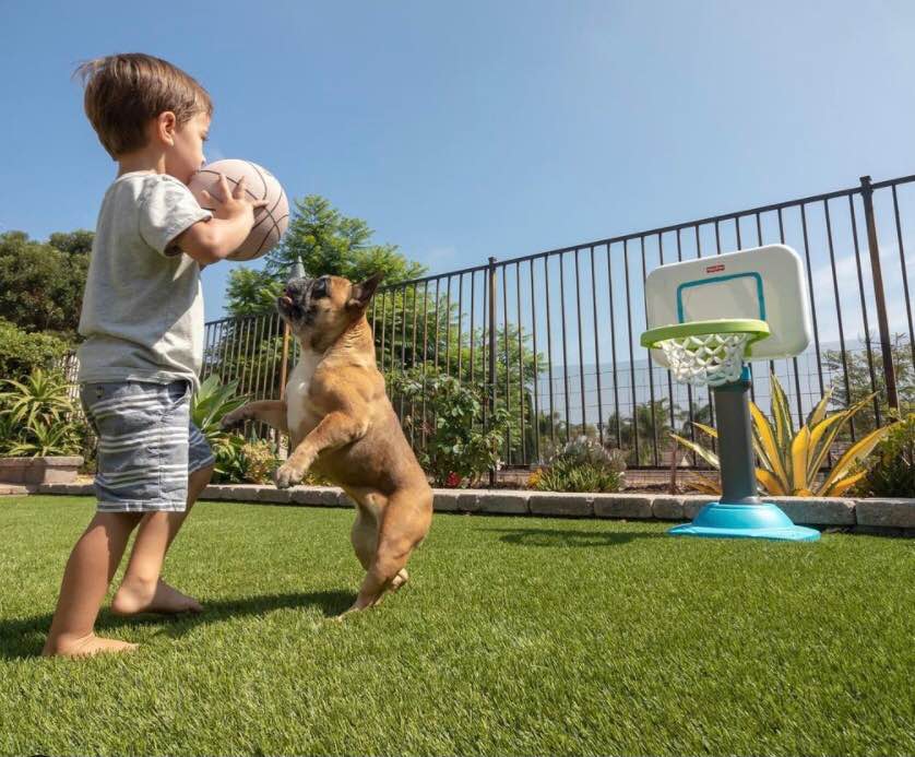 A young child holding a basketball stands on Pet Turf near a toy basketball hoop as a small brown dog jumps up excitedly beside them. A fence and green plants are in the background under a clear sky.